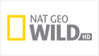National Geografic Wild HD National Geografic Wild HD